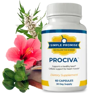 Prociva